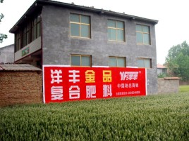 诸暨如何让墙体广告展现最大化效果