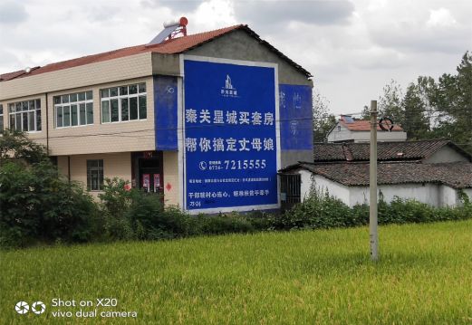 诸暨决定墙体广告价格的因素有哪些?