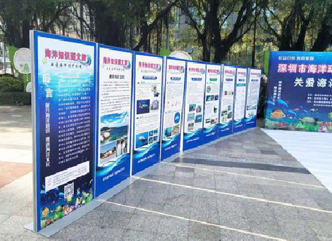 诸暨KT板的种类和知识。